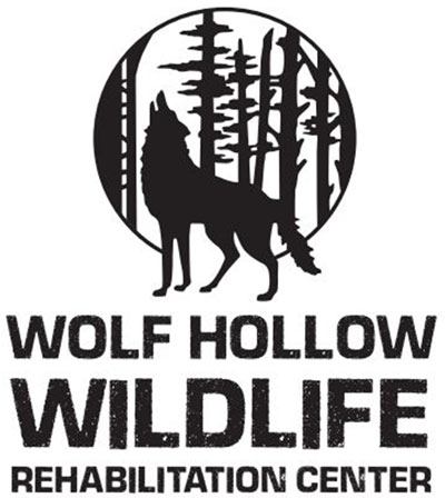 Wolf Hollow Wildlife Rehabilitation Center logo